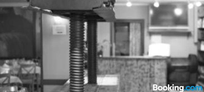 埃西耶格别墅酒店(Villa de Elciego)图片