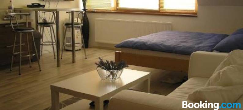 万豪旅馆(Penzion Marriot)图片