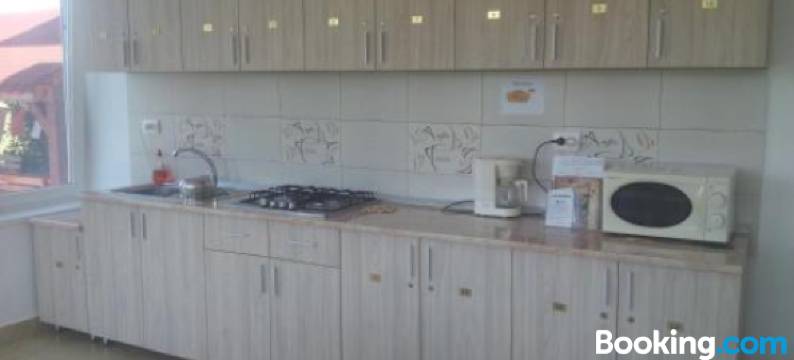 玛格丽塔潘思尤莉亚酒店(Pensiunea Margareta)图片