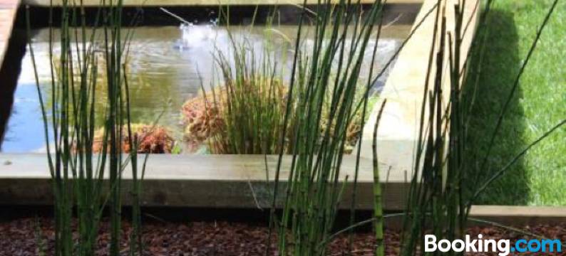 拉路易斯安那旅馆(Chambres d'Hôtes Villa la Louisiane)图片