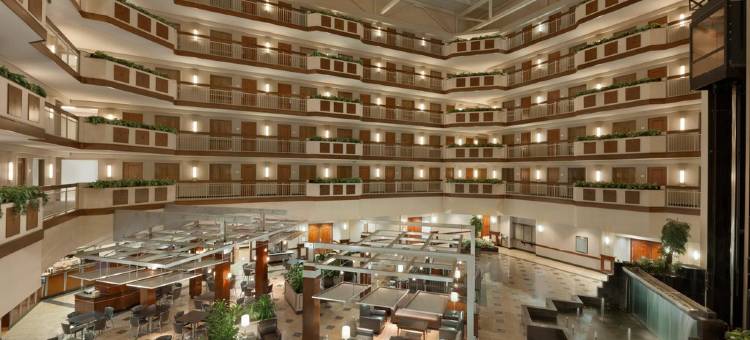 杜勒斯北劳登希尔顿安泊酒店(Embassy Suites by Hilton Dulles North Loudoun)图片