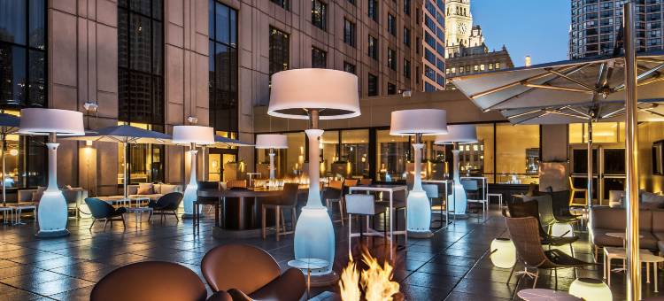 芝加哥密歇根大街格温豪华精选酒店(The Gwen, a Luxury Collection Hotel, Michigan Avenue Chicago)图片
