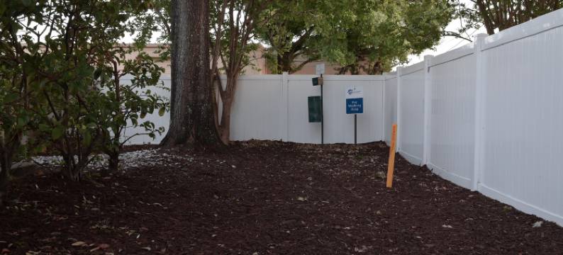 索内斯塔简约套房-克利尔沃特(Sonesta Simply Suites Clearwater)图片