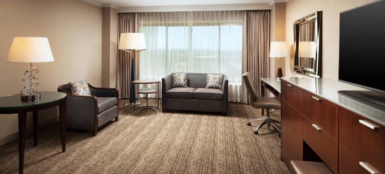 科斯塔梅萨南海岸广场威斯汀酒店(The Westin South Coast Plaza, Costa Mesa)图片
