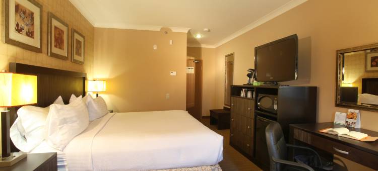 特鲁罗王子酒店及会议中心(Inn on Prince Hotel & Conference Centre Truro)图片
