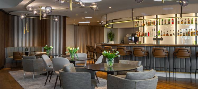 巴塞尔丽笙酒店(Radisson Blu Hotel, Basel)图片