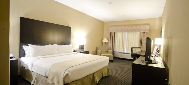 圣保罗东北 - 埃尔莫湖假日酒店(Holiday Inn & Suites ST. PAUL NE - LAKE ELMO by IHG)图片