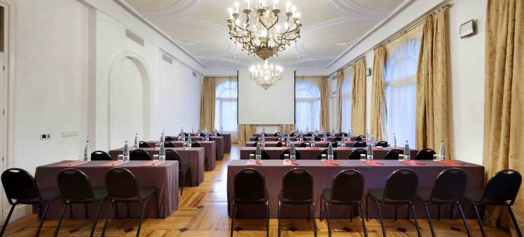 埃克维多利亚宫殿酒店(Exe Victoria Palace)图片