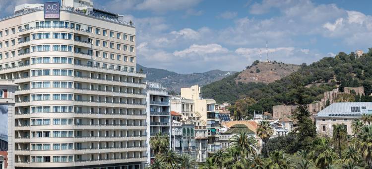 马拉加帕拉西奥万豪AC酒店(AC Hotel Malaga Palacio)图片