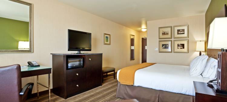 智选假日套房酒店特温福尔斯(Holiday Inn Express & Suites Twin Falls)图片
