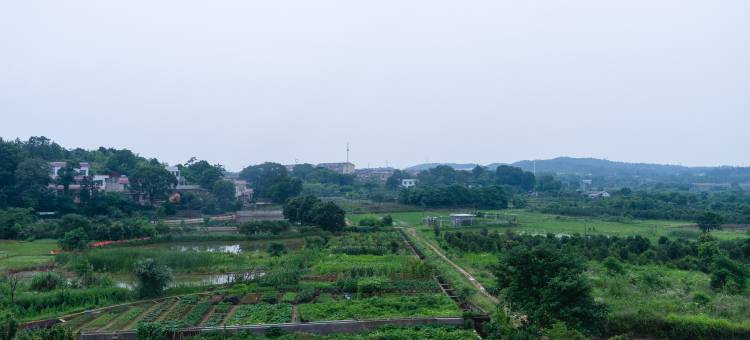 韶山永和宾馆图片
