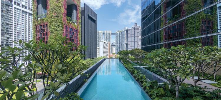 新加坡市中心索菲特酒店(Sofitel Singapore City Centre)图片