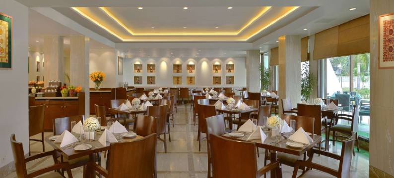 克久拉霍丽筠酒店(Radisson Jass Khajuraho)图片