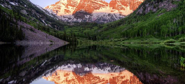 甘特酒店(The Gant)图片