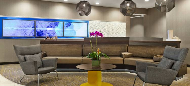 杜勒斯机场 SpringHill Suites 万豪酒店(SpringHill Suites Dulles Airport)图片