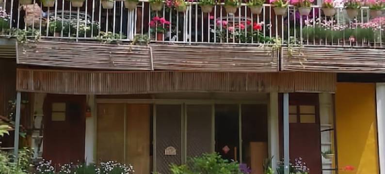 嘉义三华生态民宿图片