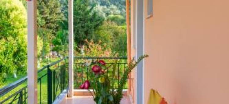 埃瓦吉利亚一室公寓(Evaggelia Studios)图片