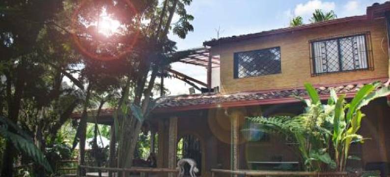 秘密佛陀酒店(The Secret Buddha)图片