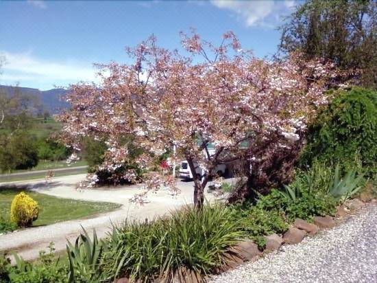Mole Creek Cabins Hotel Reviews And Room Rates Trip Com