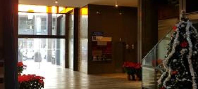 鲁葛洛赛提莫画廊旅馆(Ruggero Settimo Gallery)图片