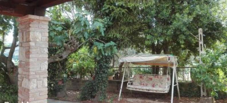 Agriturismo Cerquaglia图片