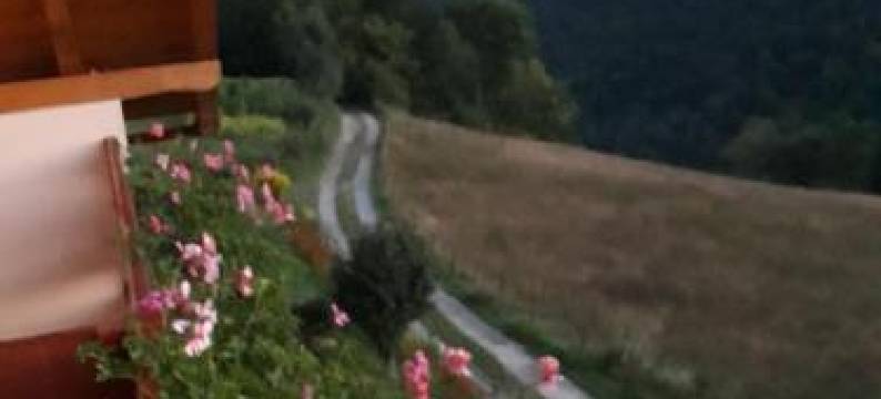 Casa cu Muscate图片