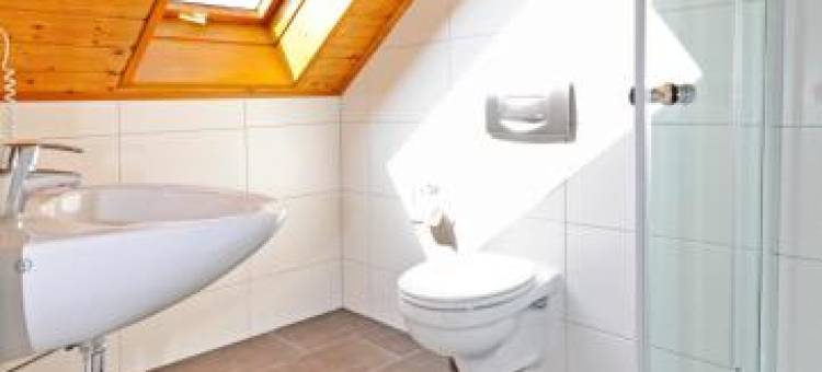 林德霍夫酒店(Hotel Lindenhof)图片