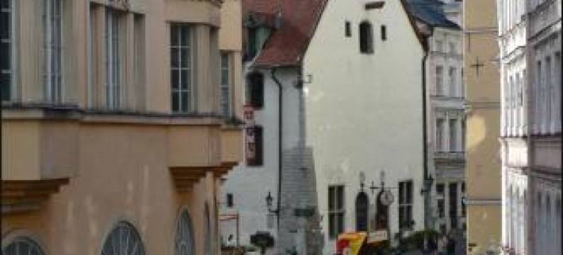 维鲁背包客旅舍(Viru Backpackers Hostel)图片