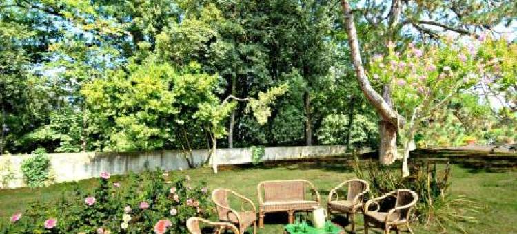 德尔菲尼 I 号别墅酒店(Villa I Delfini)图片