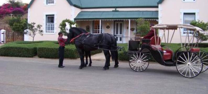 Lemontree Cottage图片