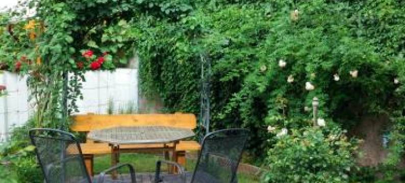 韦纳旅馆(Pension Wehner)图片