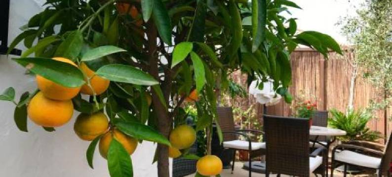 马特奥别墅酒店(Villa Mateo)图片