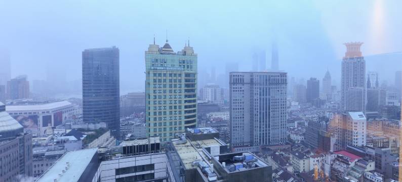 上海王宝和大酒店图片