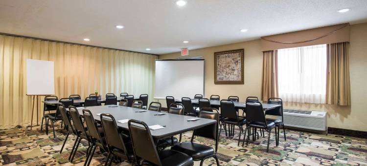 凯艺套房酒店(Quality Inn & Suites)图片