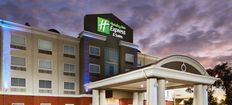 智选假日套房酒店帕拉特卡西北(Holiday Inn Express & Suites Palatka Northwest)图片
