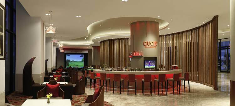 新德里机场诺富特酒店(Novotel New Delhi Aerocity- International Airport)图片