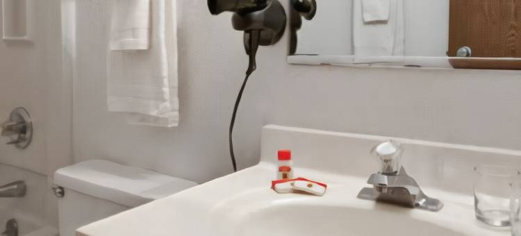 拉斯克鲁塞斯-白沙区温德姆速8酒店(Super 8 by Wyndham Las Cruces/White Sands Area)图片