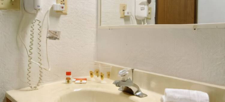 纽卡斯尔速8酒店(Super 8 by Wyndham New Castle)图片