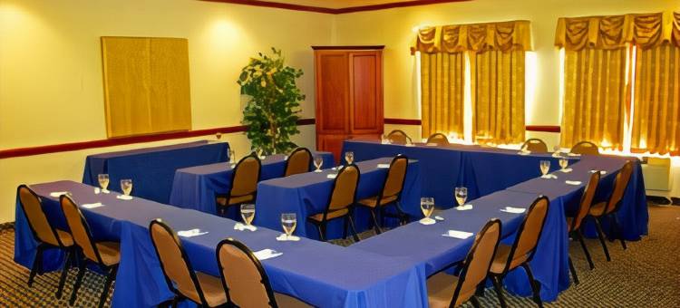 格林维尔贝斯特韦斯特优质套房酒店(Best Western Plus Suites-Greenville)图片