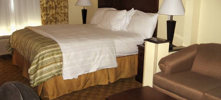 孤星贝斯特韦斯特酒店(Best Western Lone Star Inn)图片