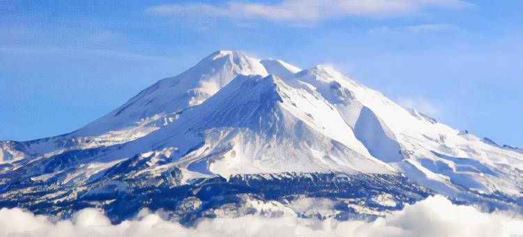 树屋贝斯特韦斯特优质酒店(Best Western Plus Tree House)图片