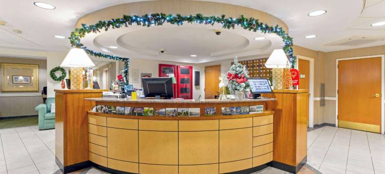 波士顿萨默维尔拉昆塔温德姆套房酒店(La Quinta by Wyndham Boston Somerville)图片