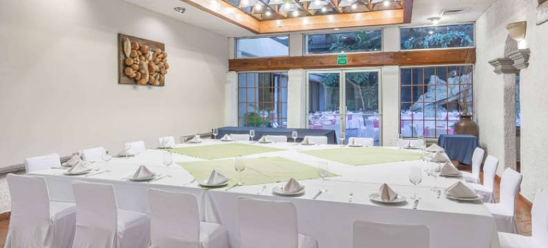 温德姆库利阿坎行政酒店(Wyndham Executivo Culiacan)图片