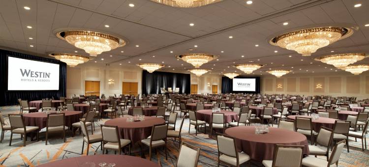 盖勒瑞亚休斯顿威斯汀酒店(The Westin Galleria Houston)图片