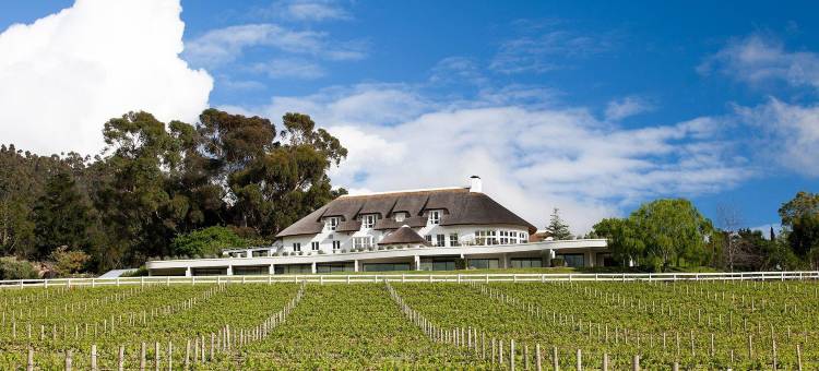 罗谢尔葡萄园酒店(Mont Rochelle Hotel and Vineyard)图片