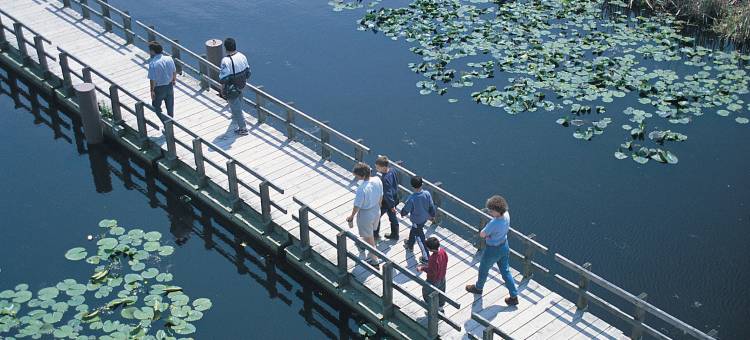 温莎舒适酒店(Comfort Inn)图片