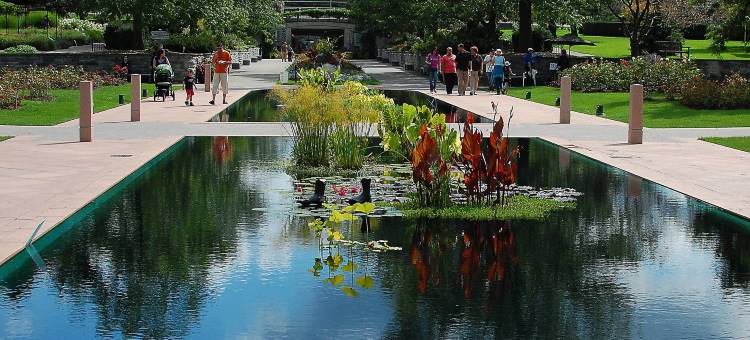 伯灵顿舒适酒店(Comfort Inn)图片