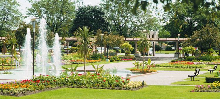 温莎舒适酒店(Comfort Inn)图片