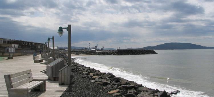 舒适酒店(Comfort Inn)图片