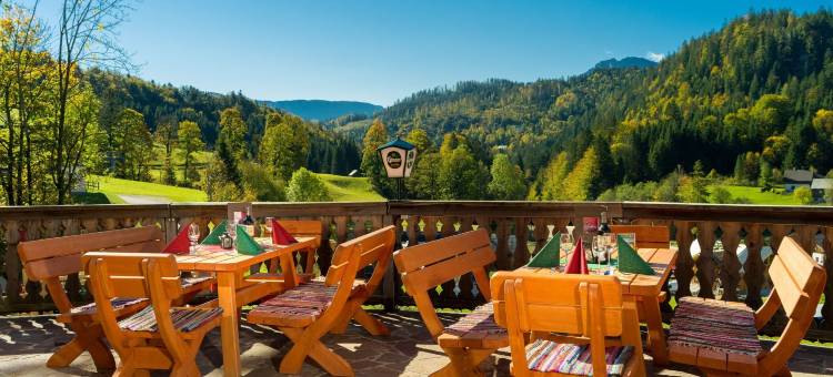 安彭帕克斯奥塔西黑根酒店(AlpenParks Hagan Lodge Altaussee)图片